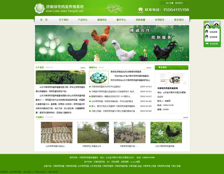8济南绿壳鸡蛋网站制作案例 济南做网站公司发布！